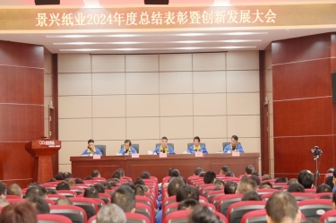 乘风破浪 逐梦前行 | 星空体育官方登录入口2024年度总结表彰暨创新发展大会隆重召开