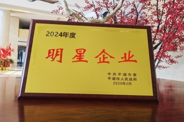 新春新景新气象 | 星空体育官方登录入口在平湖三干大会上喜摘荣誉！