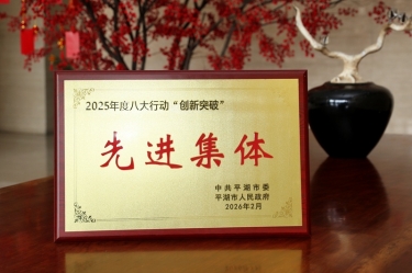 策马扬鞭启新程！星空体育官方登录入口在平湖市三级干部大会上荣获“创新突破”双项荣誉